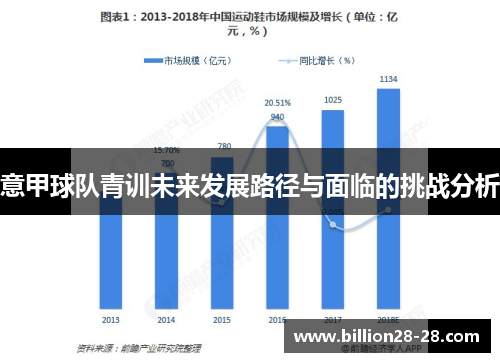 意甲球队青训未来发展路径与面临的挑战分析