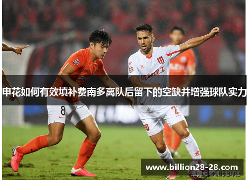 申花如何有效填补费南多离队后留下的空缺并增强球队实力